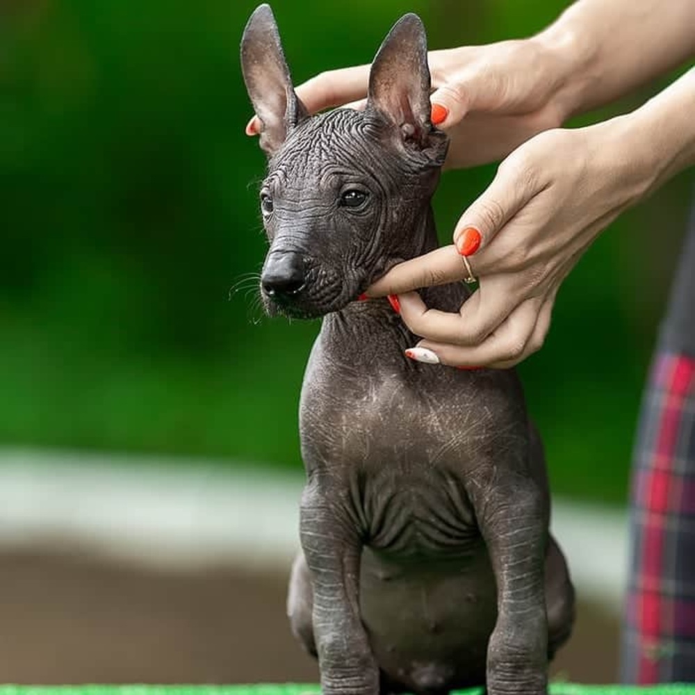 Meet your Posher, Olivia